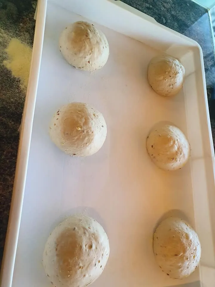 Panetti impasto